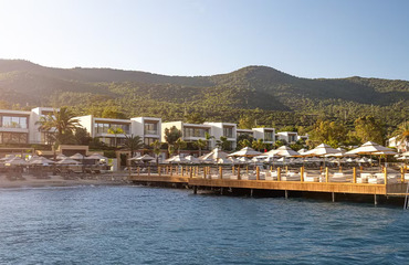 The Norm Collection Door