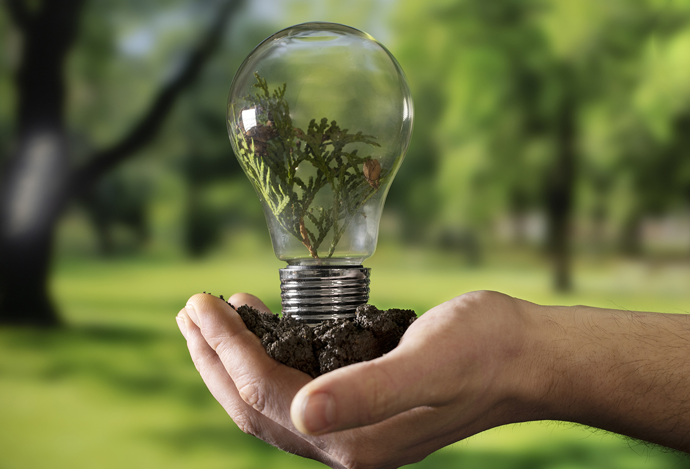 Fatura Danışmanım