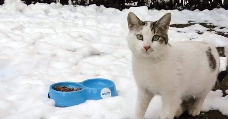 “SEVGİMİZ, ENERJİMİZ SİZİNLE” PROJESİ CAN DOSTLARINI UNUTMUYOR