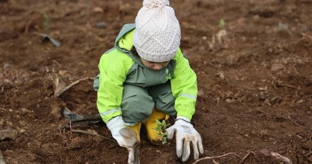 YEŞİL DÖNÜŞÜM ORMANLARI PROJESİ, 80 BİN M² YEŞİL ALAN YARATTI